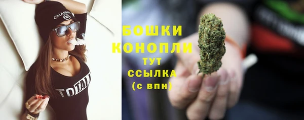 ALPHA PVP Горнозаводск
